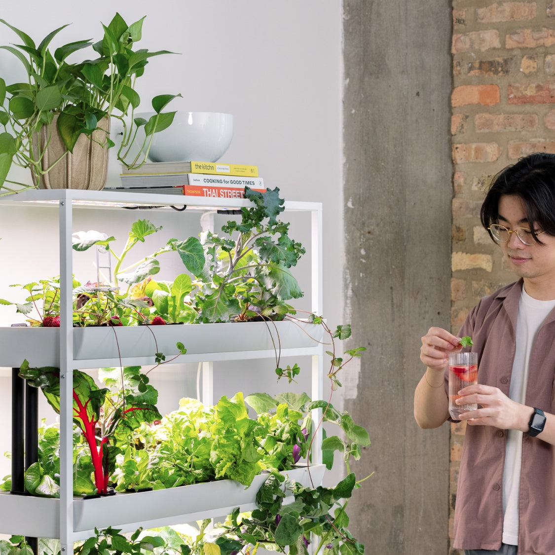 The Rise Extension 3