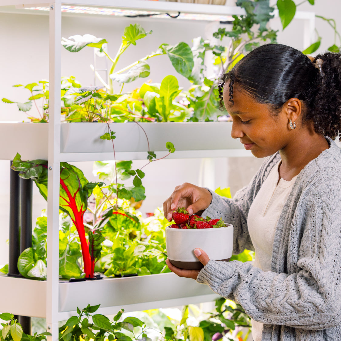 The Rise Extension 3