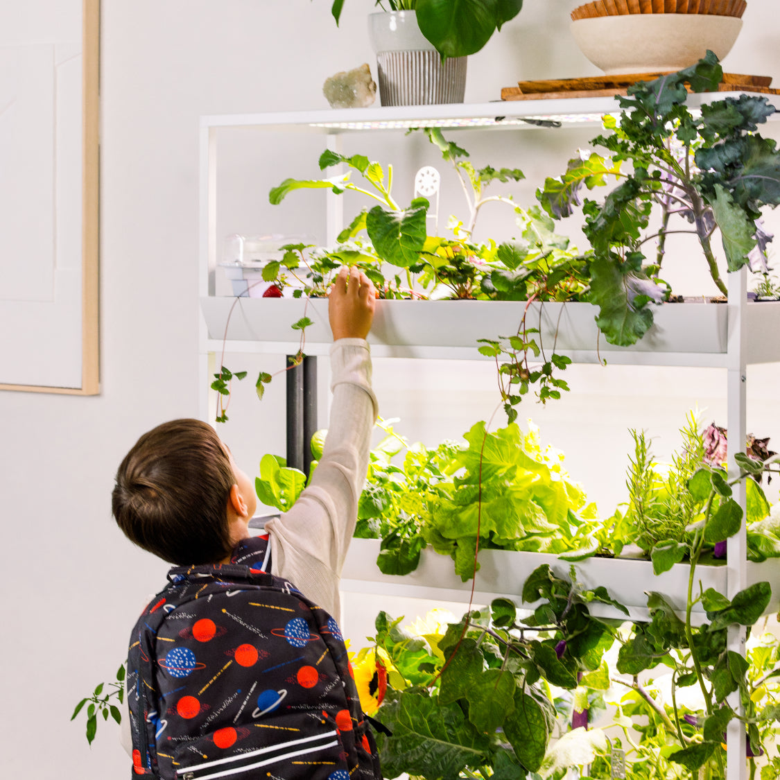 The Rise Extension 3