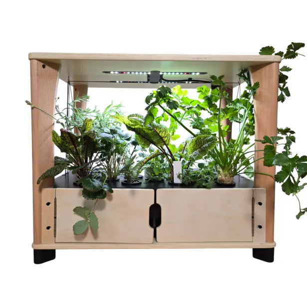 Furniture-Style Hydroponic Home Farm
