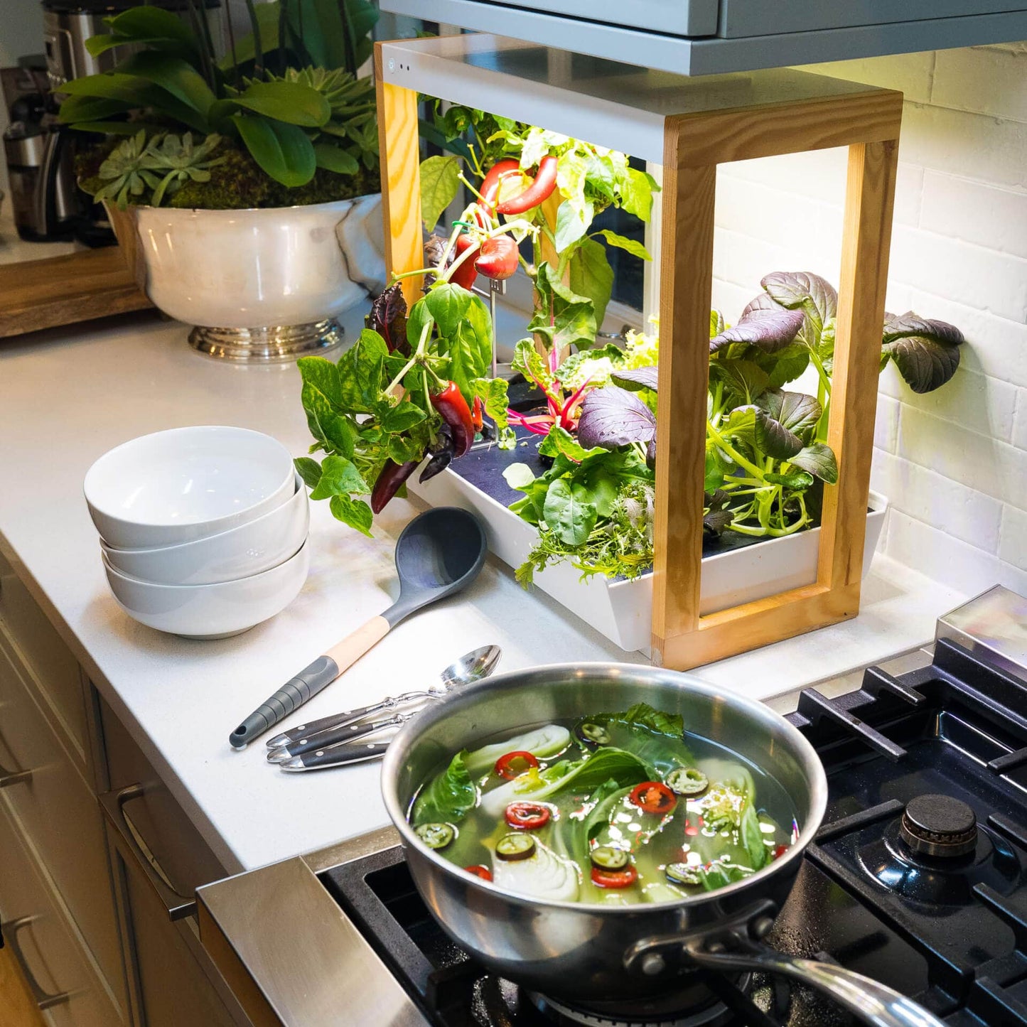 Personal Rise Garden