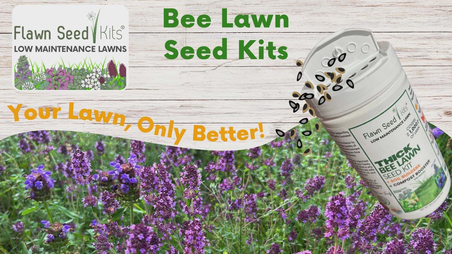 Micro Bee Lawn Seed Mixture - Easy Spread Shaker – Flawn Seed Kits