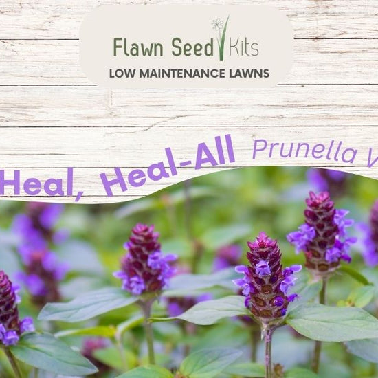 Self-Heal Product Overview