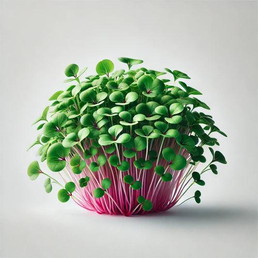 Radish (Confetti Mix)