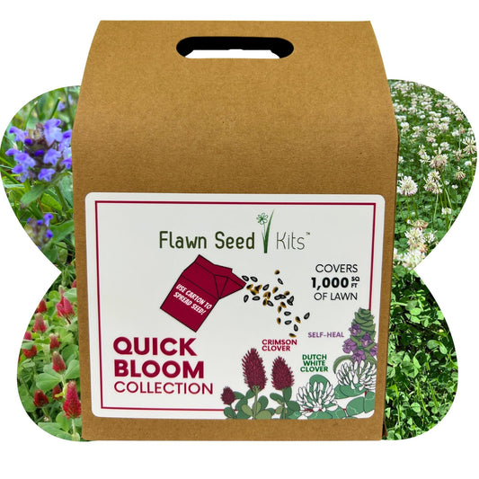 Quick Bloom Kit with Dutch White Clover, Crimson Clover & Self-Heal