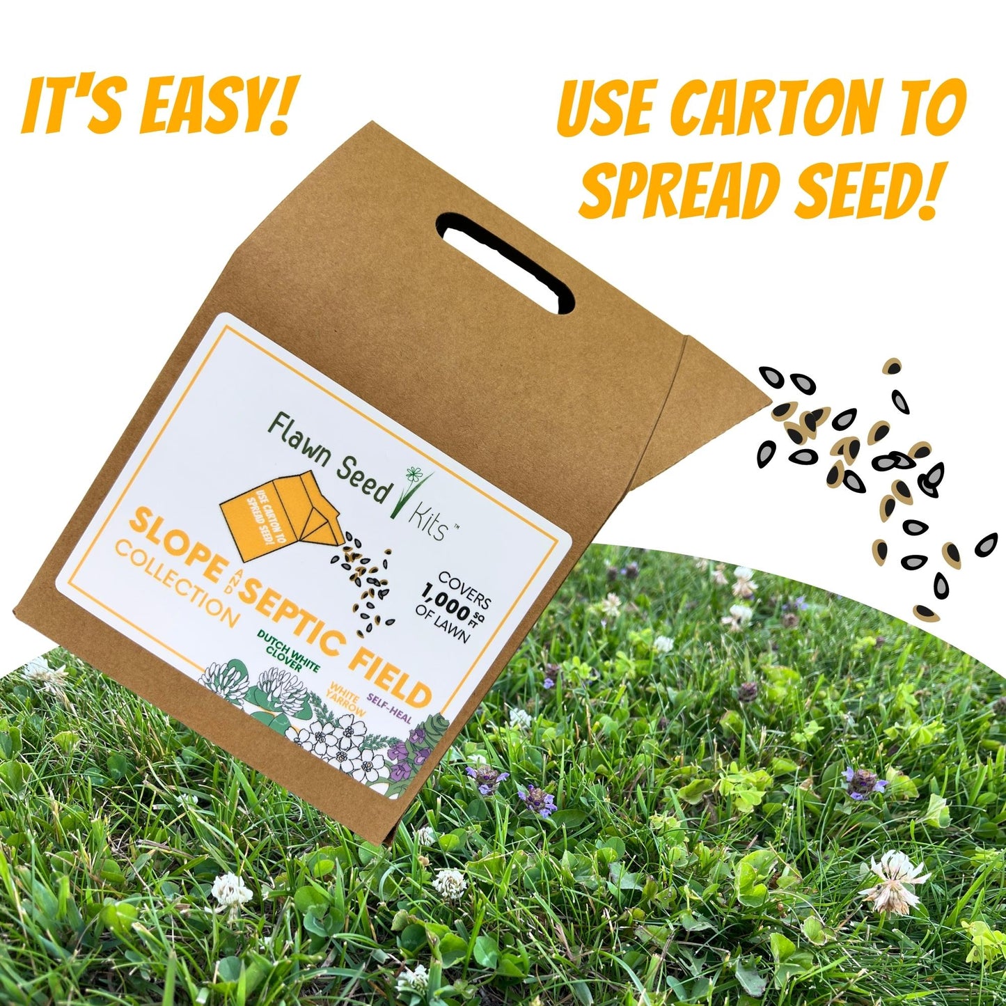 Slope/Septic System Kit with Dutch White Clover, Self-Heal & White Yarrow (LIMITED TIME)